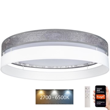 LED Stmívatelné stropní svítidlo LIMA LED/36W/230V 2700-6500K Wi-Fi Tuya + dálkové ovládání stříbrná/bílá