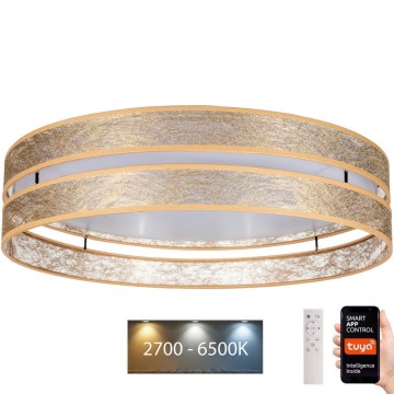 LED Stmívatelné stropní svítidlo LIMA LED/36W/230V 2700-6500K Wi-Fi Tuya + dálkové ovládání zlatá