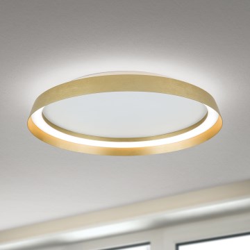 LED Stmívatelné stropní svítidlo MANTA LED/38W/230V 2700/3000/4000K pr. 45 cm zlatá