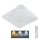 LED Stmívatelné stropní svítidlo NERIS LED/60W/230V 2700-6500K 53x53 cm + dálkové ovládání