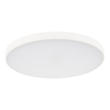 LED Stmívatelné stropní svítidlo PLAFON LED/20W/230V 3000-6500K Wi-Fi bílá
