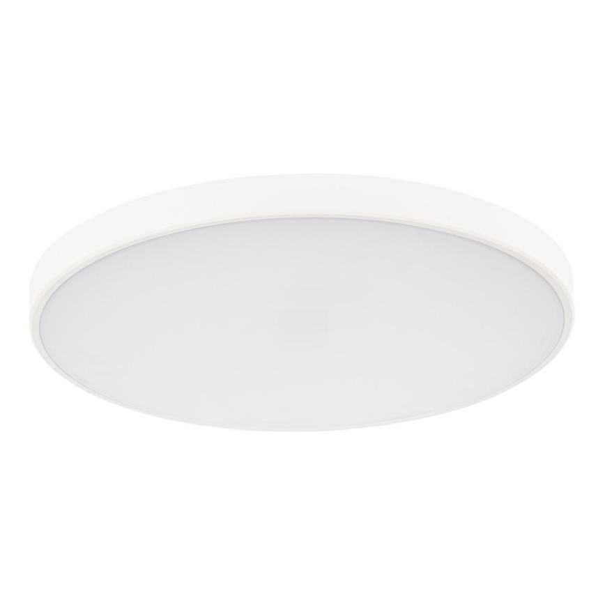 LED Stmívatelné stropní svítidlo PLAFON LED/20W/230V 3000-6500K Wi-Fi bílá