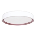 LED Stmívatelné stropní svítidlo s hlasovým ovládáním OPAL LED/48W/230V 2700-6500K bílá + dálkové ovládání