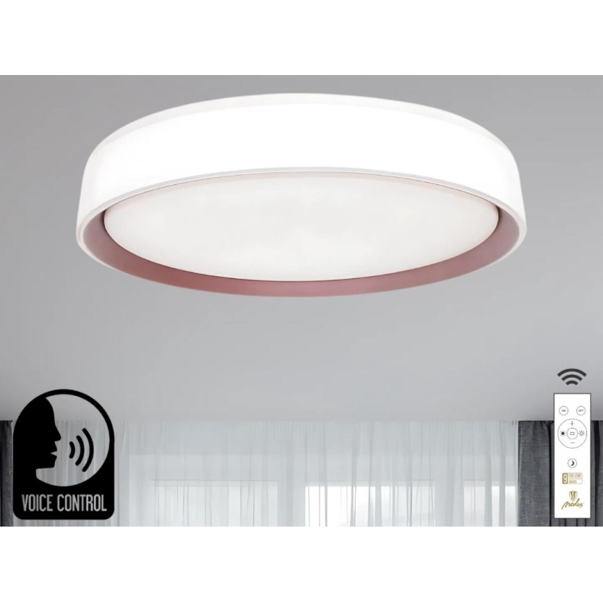 LED Stmívatelné stropní svítidlo s hlasovým ovládáním OPAL LED/48W/230V 2700-6500K bílá + dálkové ovládání