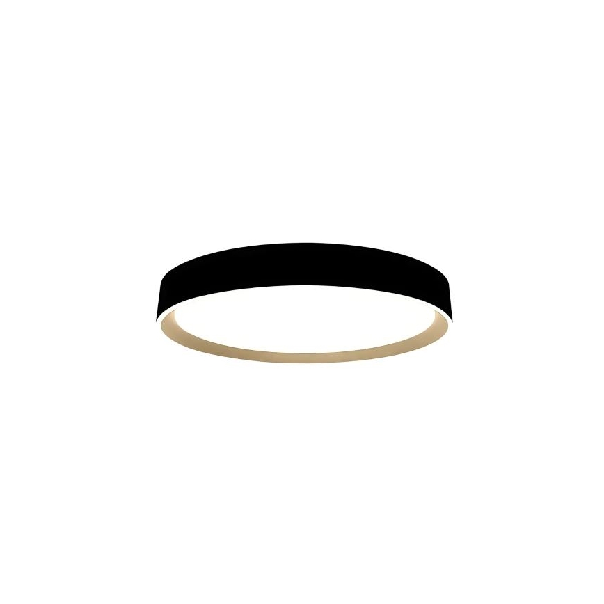 LED Stmívatelné stropní svítidlo s hlasovým ovládáním OPAL LED/48W/230V 2700-6500K černá + dálkové ovládání