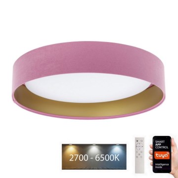 LED Stmívatelné stropní svítidlo SMART GALAXY LED/24W/230V pr. 45 cm 2700-6500K Wi-Fi Tuya růžová/zlatá+ dálkové ovládání