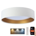 LED Stmívatelné stropní svítidlo SMART GALAXY LED/36W/230V pr. 55 cm 2700-6500K Wi-Fi Tuya bílá/zlatá + dálkové ovládání