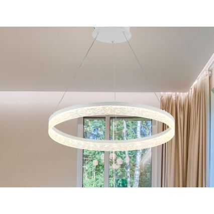 LED Stmívatelný lustr na lanku ALIANZ LED/45W/230V 3000-6000K pr. 60 cm + dálkové ovládání