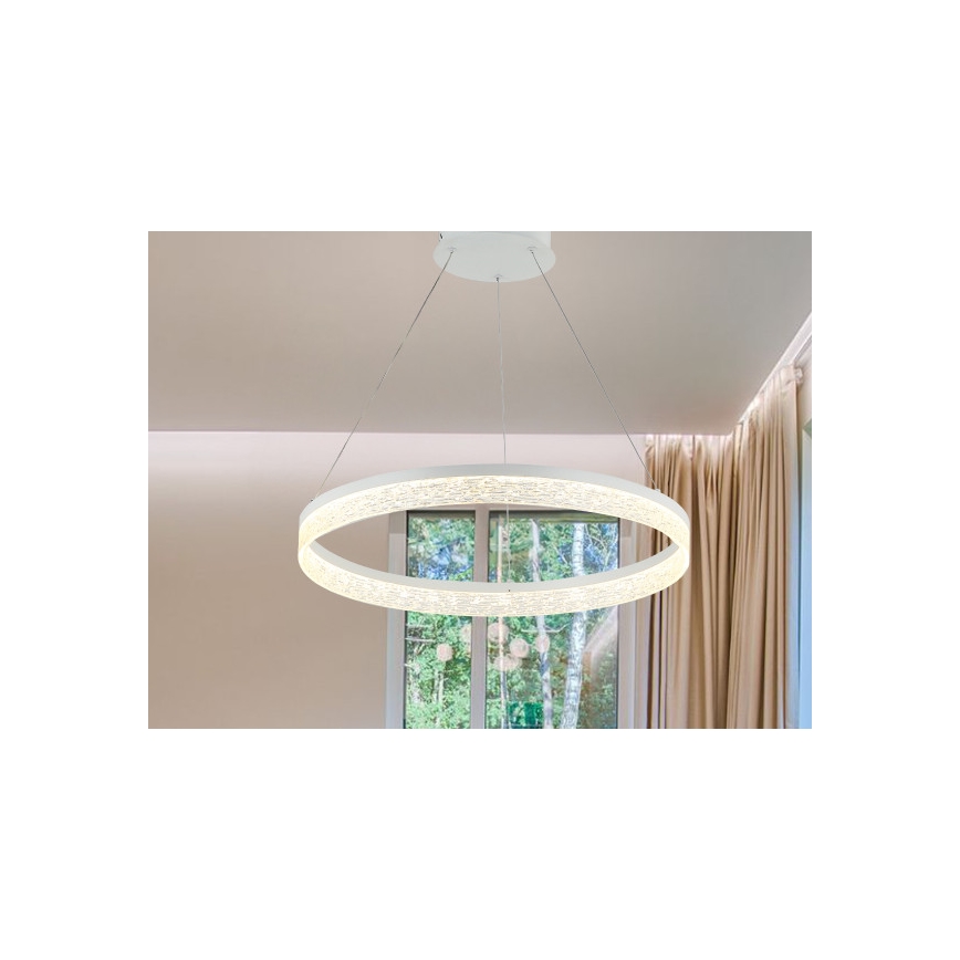 LED Stmívatelný lustr na lanku ALIANZ LED/45W/230V 3000-6000K pr. 60 cm + dálkové ovládání