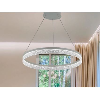 LED Stmívatelný lustr na lanku ALIANZ LED/45W/230V 3000-6000K pr. 60 cm + dálkové ovládání