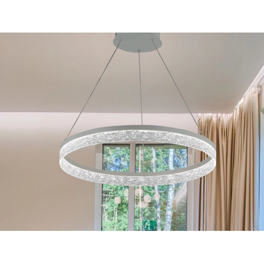 LED Stmívatelný lustr na lanku ALIANZ LED/45W/230V 3000-6000K pr. 60 cm + dálkové ovládání