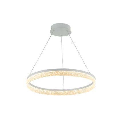 LED Stmívatelný lustr na lanku ALIANZ LED/45W/230V 3000-6000K pr. 60 cm + dálkové ovládání