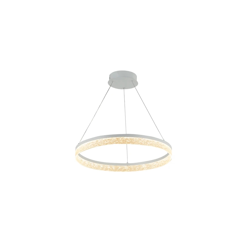 LED Stmívatelný lustr na lanku ALIANZ LED/45W/230V 3000-6000K pr. 60 cm + dálkové ovládání