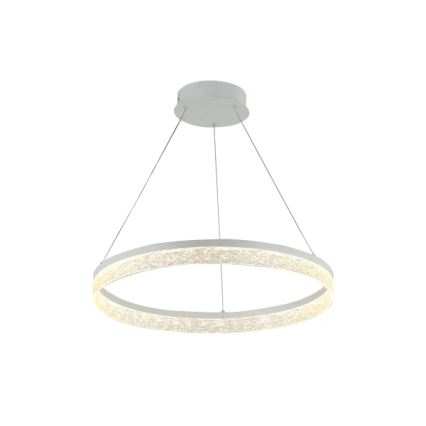 LED Stmívatelný lustr na lanku ALIANZ LED/45W/230V 3000-6000K pr. 60 cm + dálkové ovládání