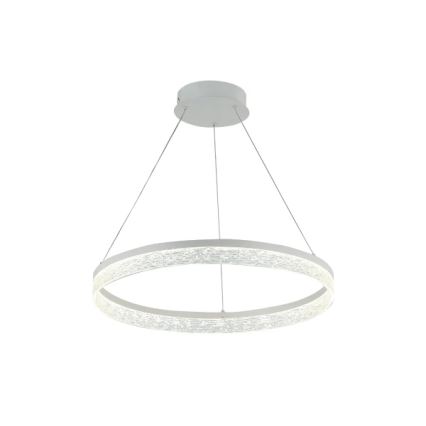 LED Stmívatelný lustr na lanku ALIANZ LED/45W/230V 3000-6000K pr. 60 cm + dálkové ovládání
