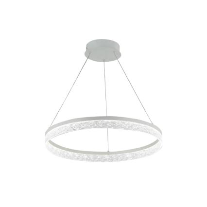 LED Stmívatelný lustr na lanku ALIANZ LED/45W/230V 3000-6000K pr. 60 cm + dálkové ovládání
