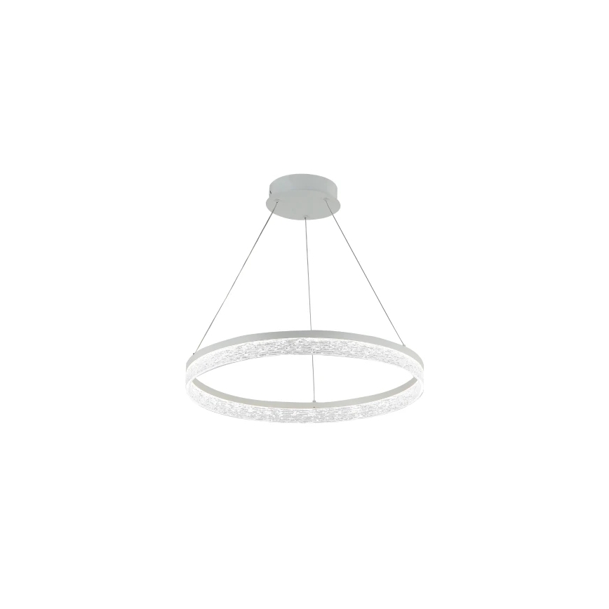 LED Stmívatelný lustr na lanku ALIANZ LED/45W/230V 3000-6000K pr. 60 cm + dálkové ovládání