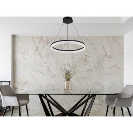 LED Stmívatelný lustr na lanku ALIANZ LED/60W/230V 3000-6000K pr. 80 cm + dálkové ovládání