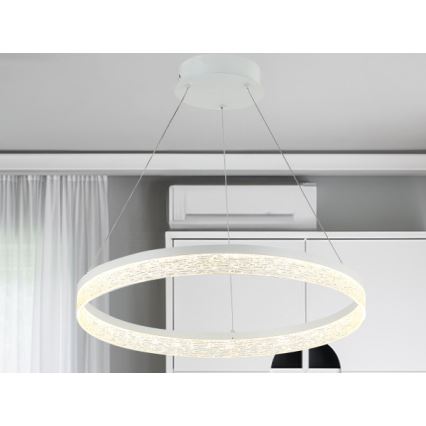 LED Stmívatelný lustr na lanku ALIANZ LED/60W/230V 3000-6000K pr. 80 cm + dálkové ovládání