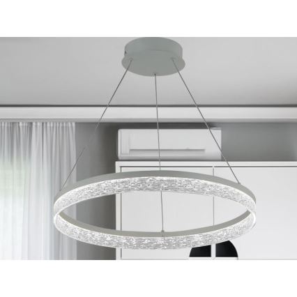 LED Stmívatelný lustr na lanku ALIANZ LED/60W/230V 3000-6000K pr. 80 cm + dálkové ovládání