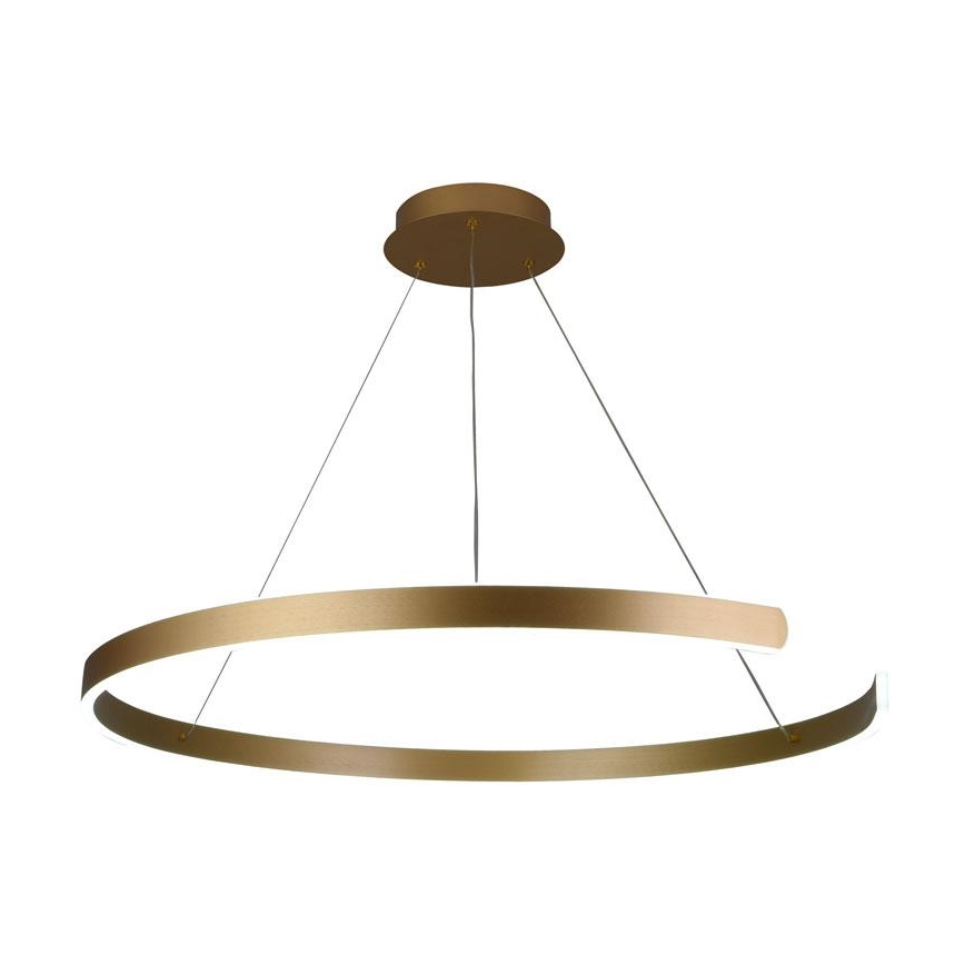 LED Stmívatelný lustr na lanku LED/100W/230V 3000-6500K + dálkové ovládání