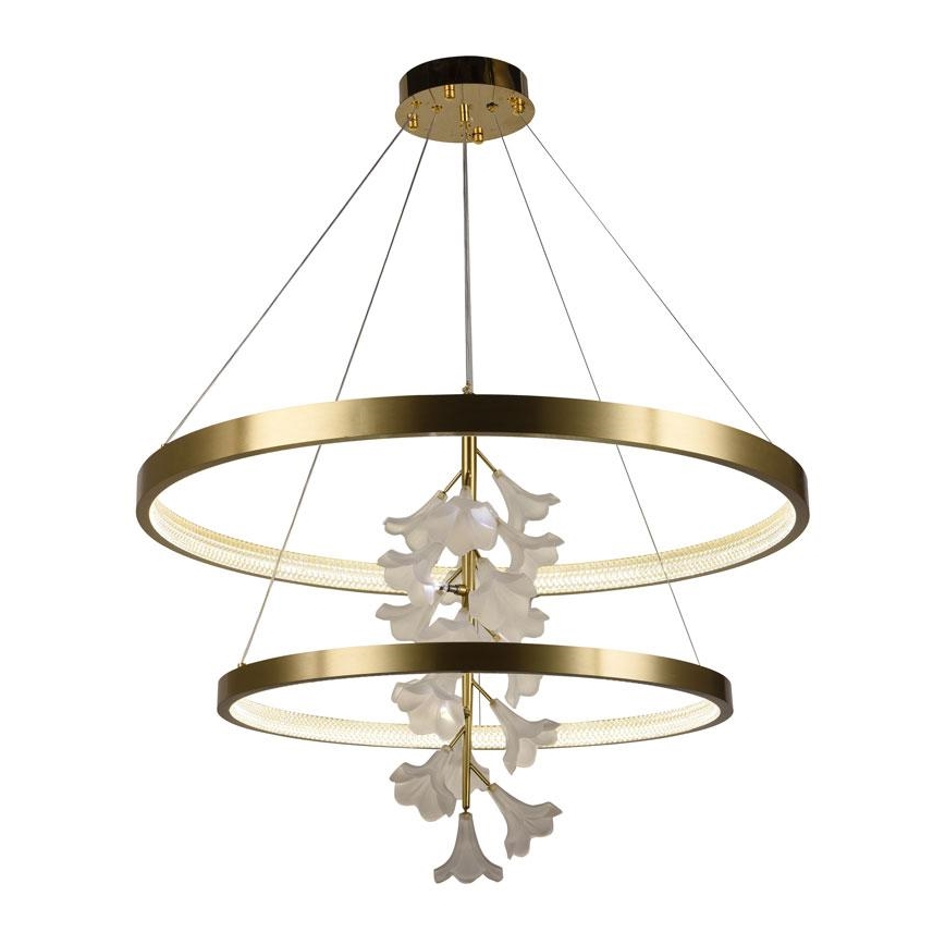 LED Stmívatelný lustr na lanku LED/100W/230V 3000-6500K + dálkové ovládání