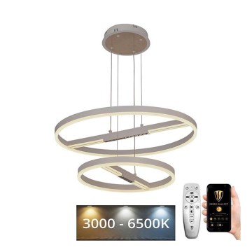 LED Stmívatelný lustr na lanku LED/100W/230V 3000-6500K pr. 60 cm + dálkové ovládání
