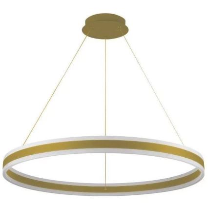 LED Stmívatelný lustr na lanku LED/110W/230V 3000-6500K pr. 80 cm + dálkové ovládání