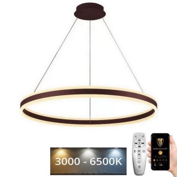 LED Stmívatelný lustr na lanku LED/110W/230V 3000-6500K pr. 80 cm + dálkové ovládání