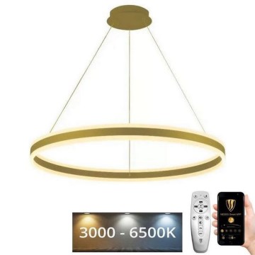 LED Stmívatelný lustr na lanku LED/110W/230V 3000-6500K pr. 80 cm + dálkové ovládání