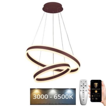 LED Stmívatelný lustr na lanku LED/135W/230V 3000-6500K pr. 60 cm + dálkové ovládání