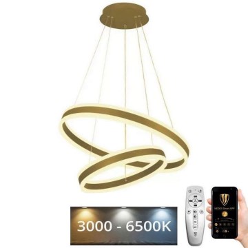 LED Stmívatelný lustr na lanku LED/135W/230V 3000-6500K pr. 60 cm + dálkové ovládání