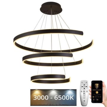 LED Stmívatelný lustr na lanku LED/220W/230V 3000-6500K pr. 80 cm + dálkové ovládání