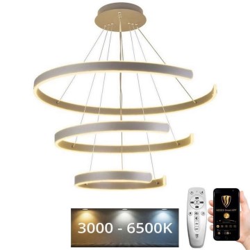 LED Stmívatelný lustr na lanku LED/220W/230V 3000-6500K pr. 80 cm + dálkové ovládání