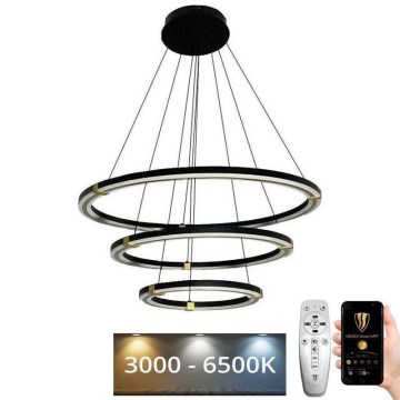LED Stmívatelný lustr na lanku LED/235W/230V 3000-6500K pr. 80 cm + dálkové ovládání