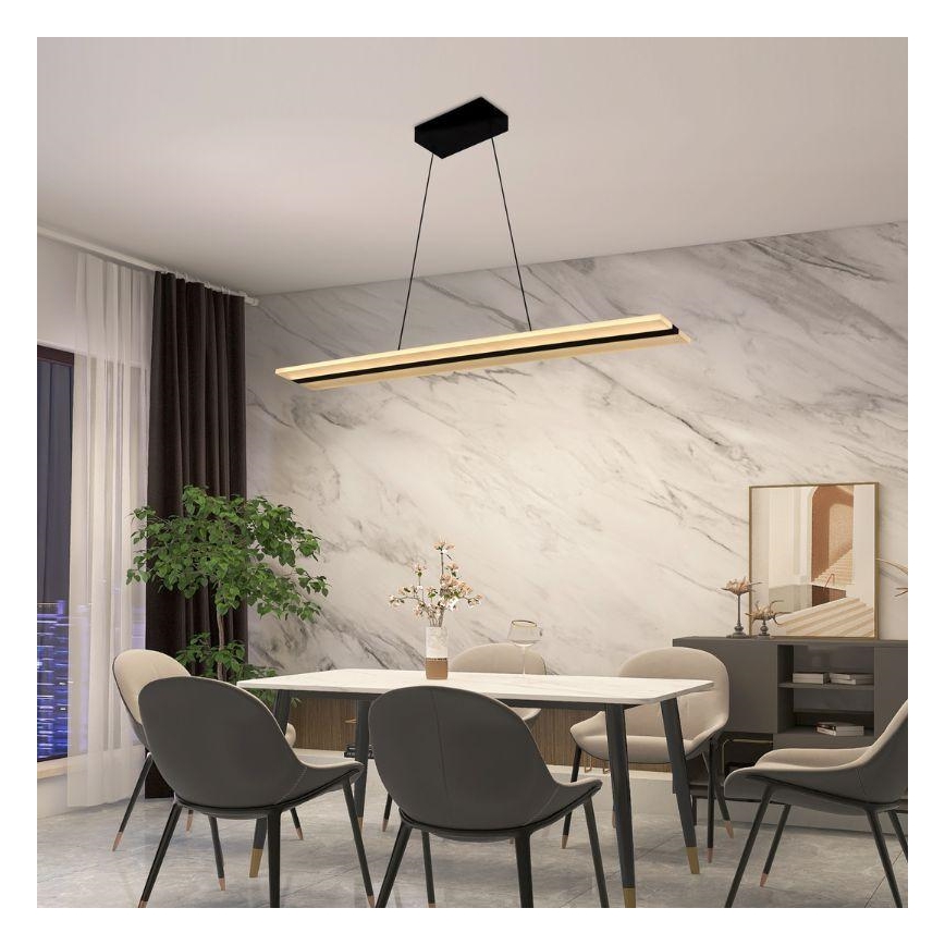 LED Stmívatelný lustr na lanku LED/40W/230V 3000-6500K černá + dálkové ovládání