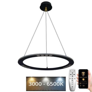 LED Stmívatelný lustr na lanku LED/40W/230V 3000-6500K + dálkové ovládání