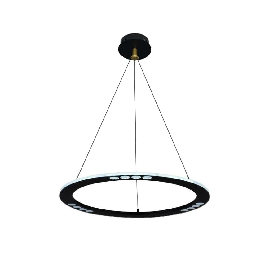 LED Stmívatelný lustr na lanku LED/40W/230V 3000-6500K + dálkové ovládání