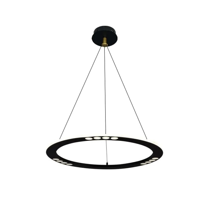 LED Stmívatelný lustr na lanku LED/40W/230V 3000-6500K + dálkové ovládání