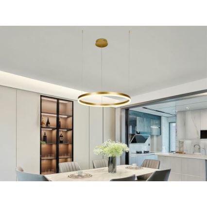 LED Stmívatelný lustr na lanku LED/42W/230V 3000-6500K + dálkové ovládání