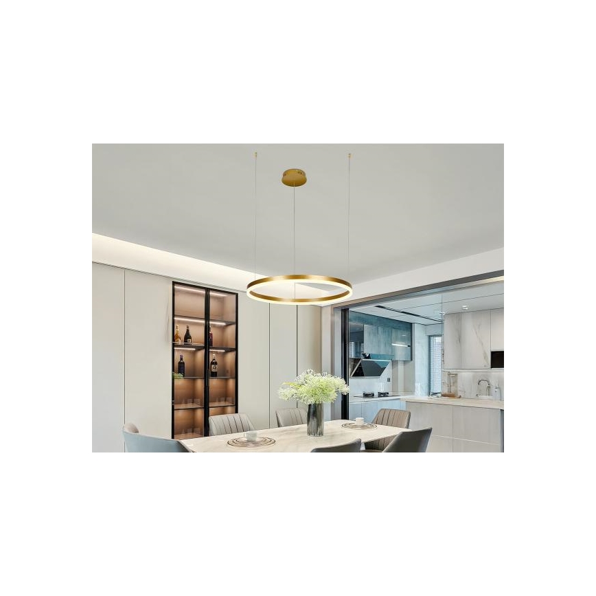 LED Stmívatelný lustr na lanku LED/42W/230V 3000-6500K + dálkové ovládání