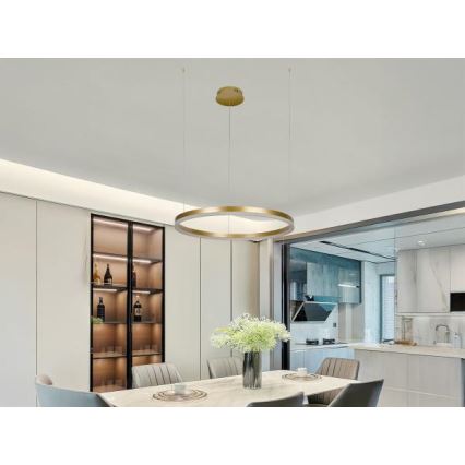 LED Stmívatelný lustr na lanku LED/42W/230V 3000-6500K + dálkové ovládání