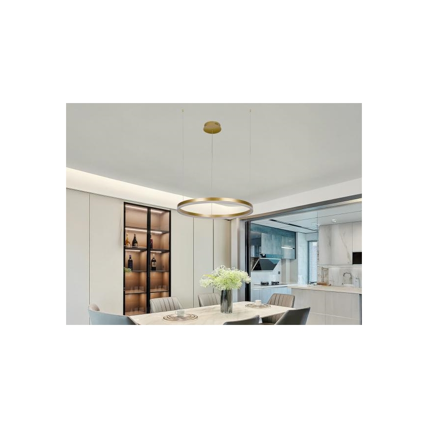 LED Stmívatelný lustr na lanku LED/42W/230V 3000-6500K + dálkové ovládání
