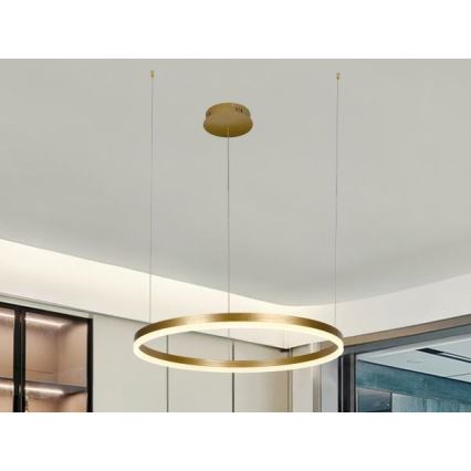 LED Stmívatelný lustr na lanku LED/42W/230V 3000-6500K + dálkové ovládání