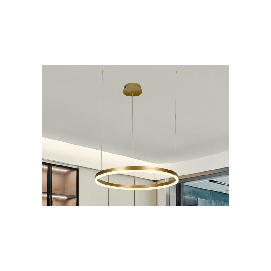 LED Stmívatelný lustr na lanku LED/42W/230V 3000-6500K + dálkové ovládání