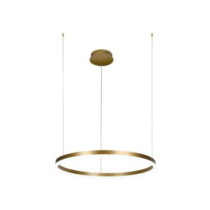 LED Stmívatelný lustr na lanku LED/42W/230V 3000-6500K + dálkové ovládání