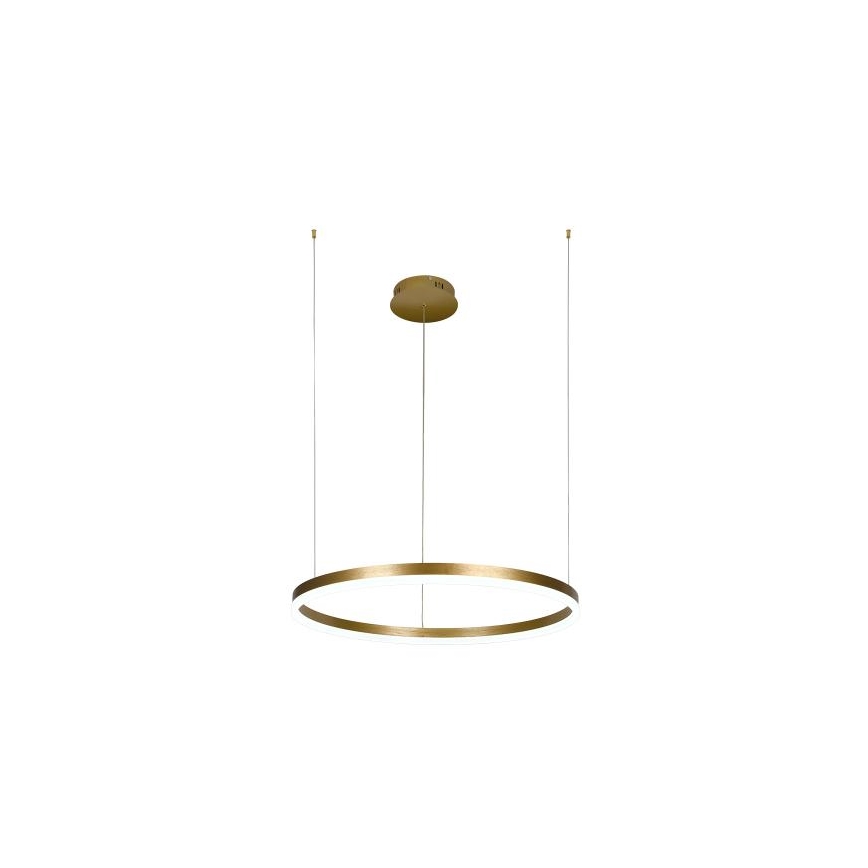 LED Stmívatelný lustr na lanku LED/42W/230V 3000-6500K + dálkové ovládání