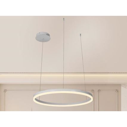 LED Stmívatelný lustr na lanku LED/42W/230V 3000-6500K pr. 60 cm + dálkové ovládání