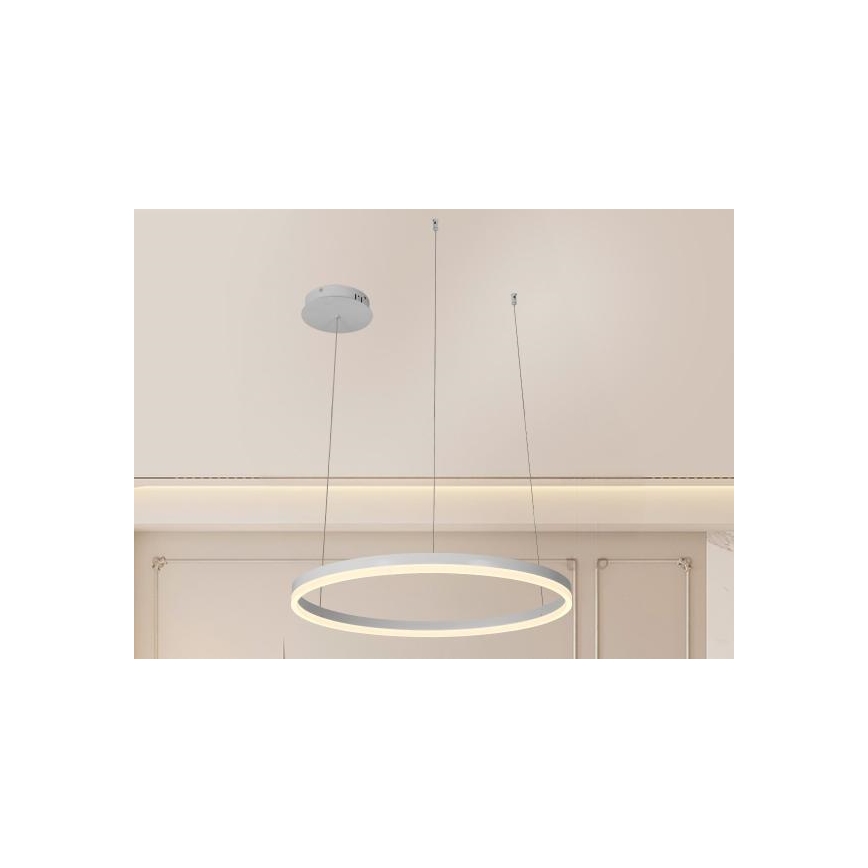 LED Stmívatelný lustr na lanku LED/42W/230V 3000-6500K pr. 60 cm + dálkové ovládání