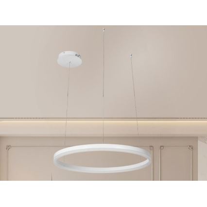 LED Stmívatelný lustr na lanku LED/42W/230V 3000-6500K pr. 60 cm + dálkové ovládání